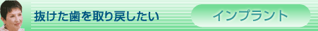 �C���v�����g